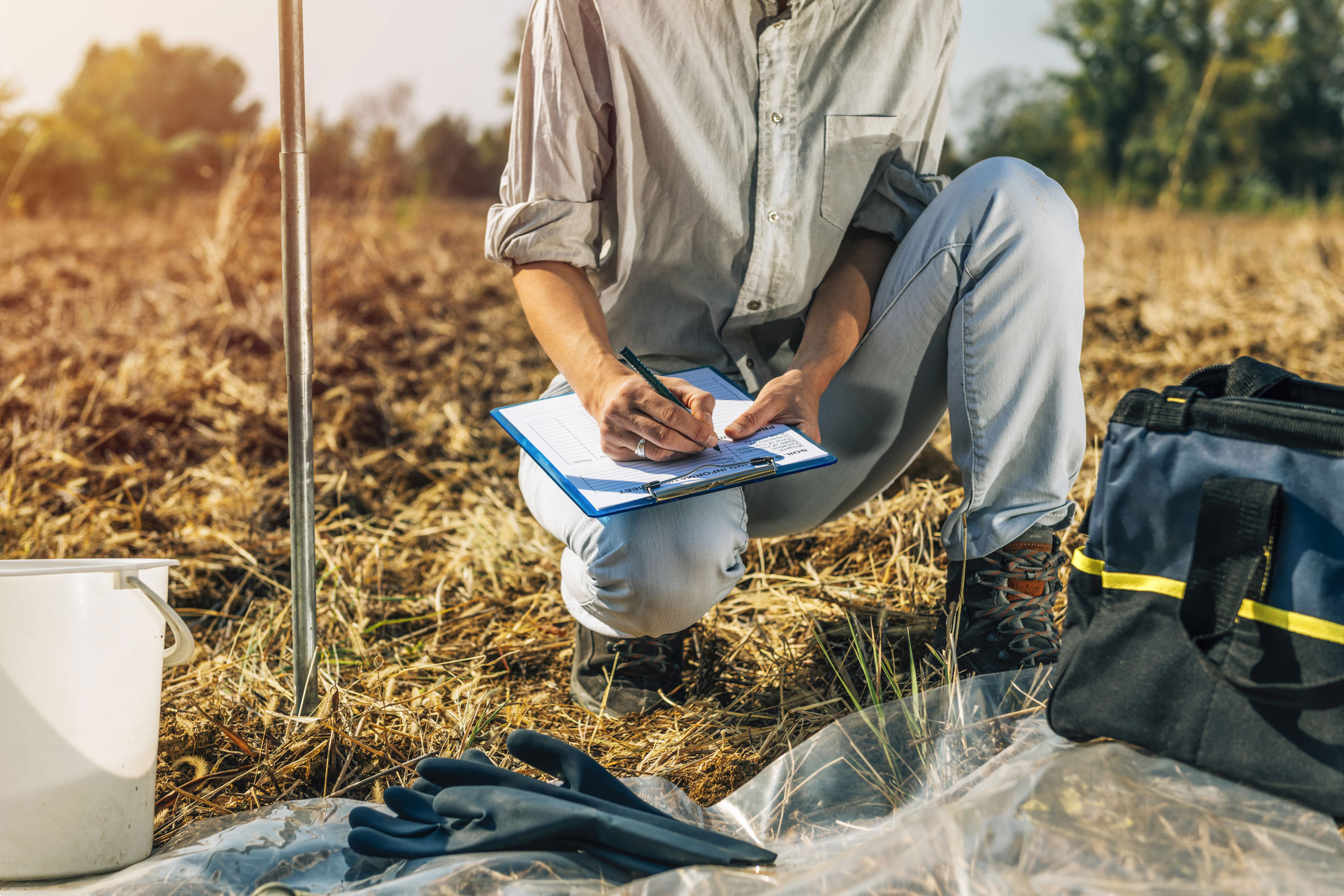 Environmental Consultant